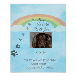 Póster Onde o Amor Ainda Brilha