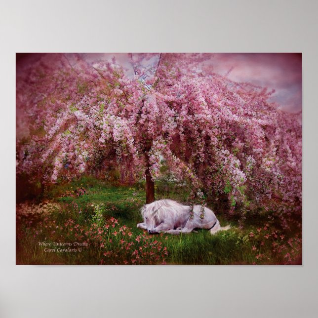 Póster Onde o Dream Art Poster/Impressão do Unicórnio (Frente)