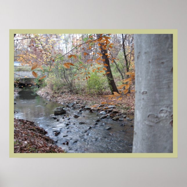 Póster Onde o Red Fern cresce (Frente)