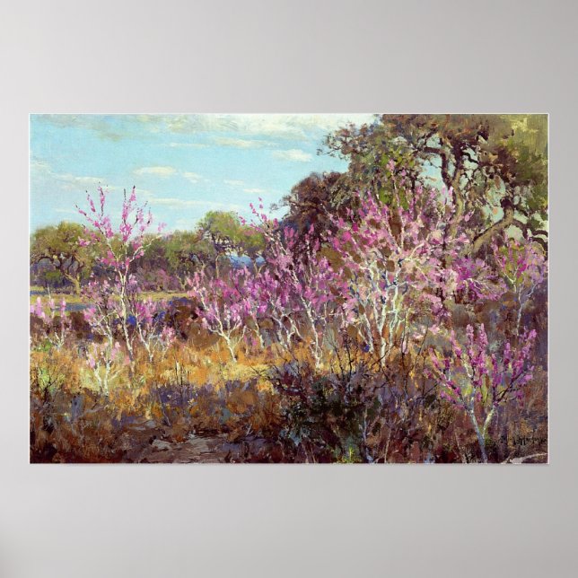 Poster Onderdonk - Árvore de Redbud em Flor, Leon Springs (Frente)
