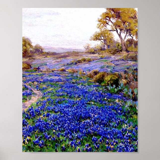 Poster Onderdonk - Bluebonnets na noite (Frente)