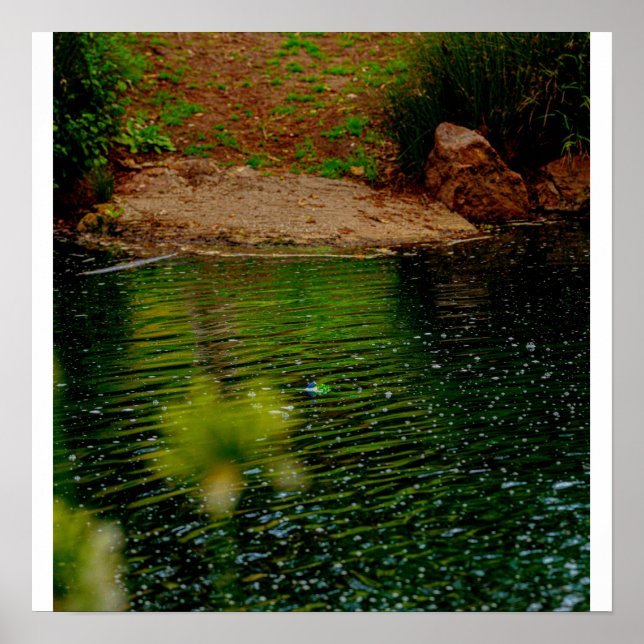 Poster Ondulações na Lagoa (Frente)