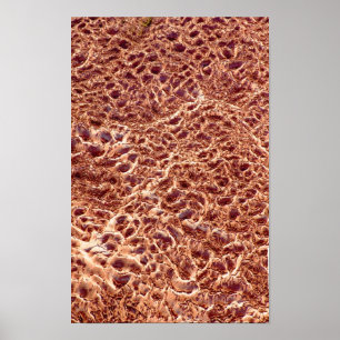 Póster ondulações no Bar de areia