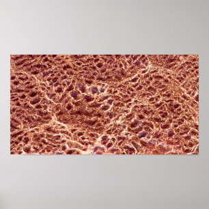 Póster ondulações no Bar de areia com lama seca III - sáb