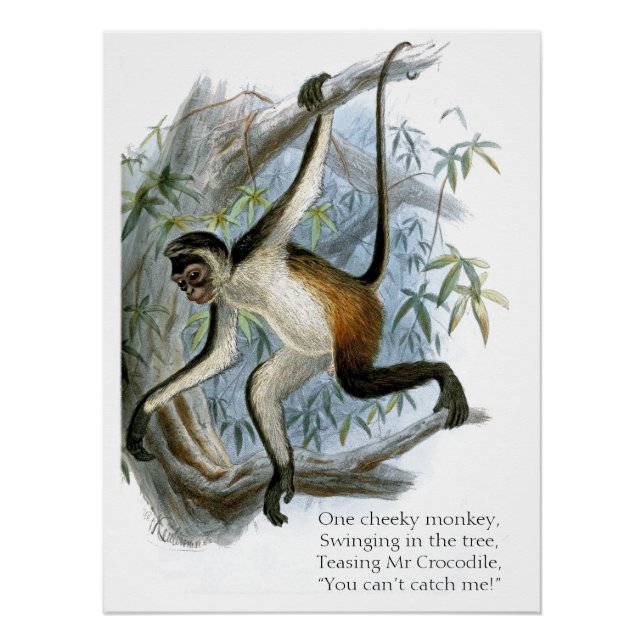 Póster One Cheeky Monkey CC0365 Children's (Frente)