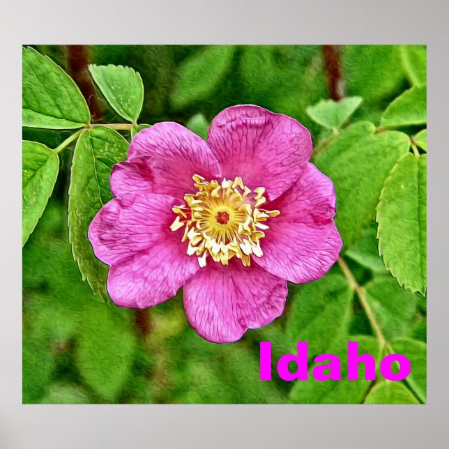 Póster One Wild Rosa - Idaho (Frente)