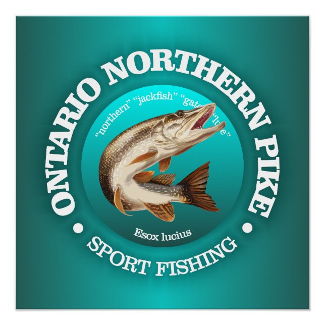 Póster Ontario Pike Fisheries (Frente)