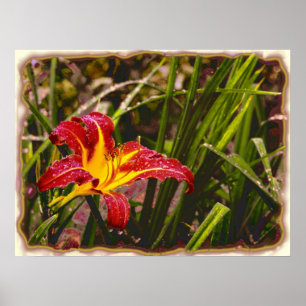 Póster Ontem Lily Depois Da Chuva