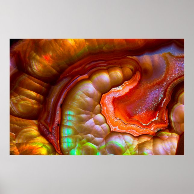 Póster Opal de Fogo Iridescente Vermelha (Frente)