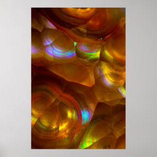 Poster Opala de fogo laranja iridescente