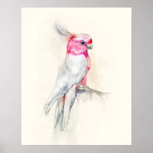 Poster Ópera Cockatoo