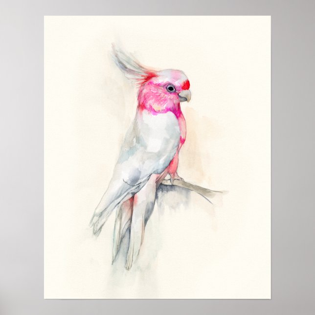 Poster Ópera Cockatoo (Frente)