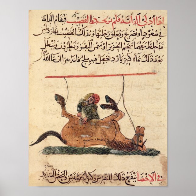 Póster Operação a cavalo, ilustração (Frente)