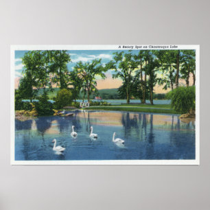 Póster Opinião cénico as cisnes no lago