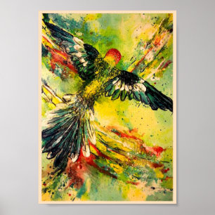 Póster Opinião de olho de pássaros