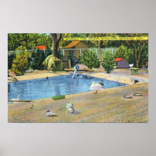 Poster Opinião do parque de Beardsley de Waterbirds
