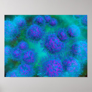 Poster Opinião microscópica a bactéria do Diplococcus