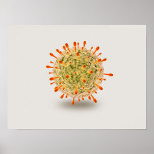 Póster Opinião microscópica o vírus de herpes 2