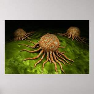 Póster Opinião microscópica o vírus do cancer
