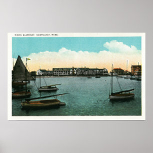 Poster Opinião o elefante branco