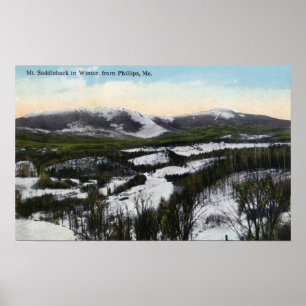 Póster Opinião o Saddleback da montagem no inverno