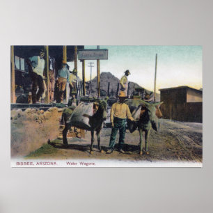 Poster Opinião os asnos que levam WaterBisbee, AZ