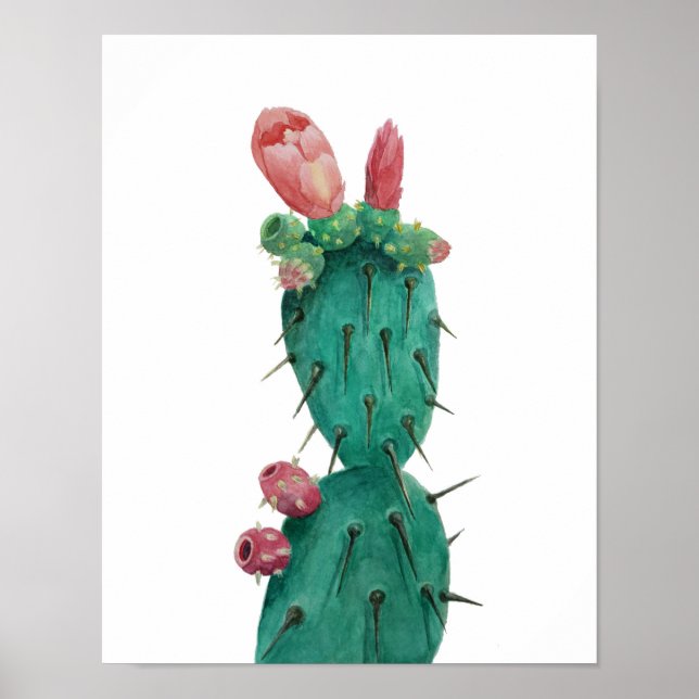 Póster Opuntia nas aquarelas (Frente)