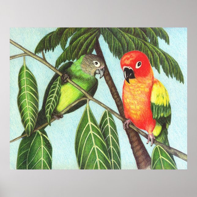 Póster Opus e Monstro (Frente)