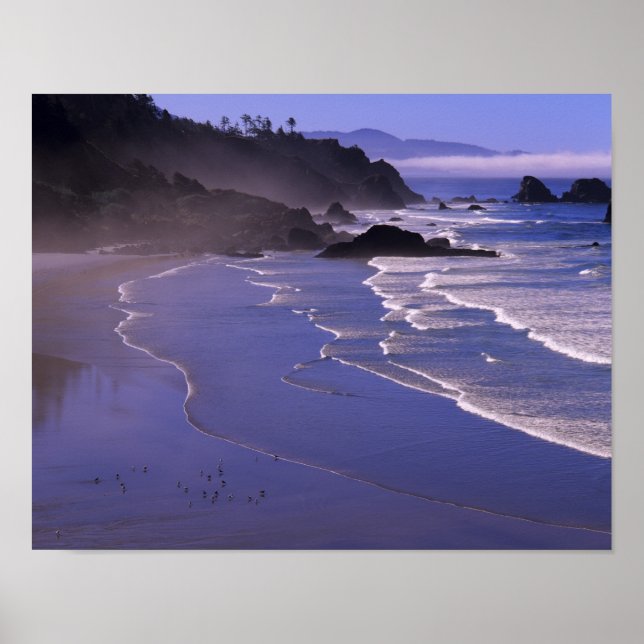 Póster OR, Costa do Oregon, Ecola SP, Indian Beach com (Frente)