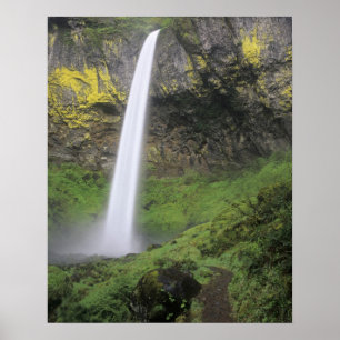 Póster OR, Desfiladeiro do Rio Columbia, Cachoeira Elowah
