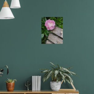 Poster Oração da Serenidade Peônia Rosa Floral