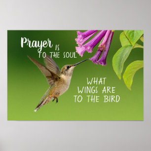 Poster Oração do Beija-flor é para a Alma