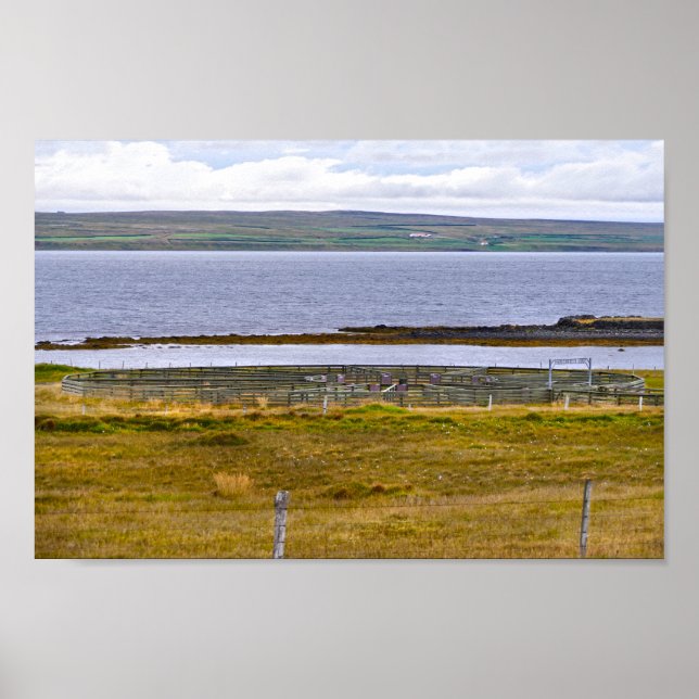 Poster Oral de Ordenação de Ovinos por um fiorde, Islândi (Frente)