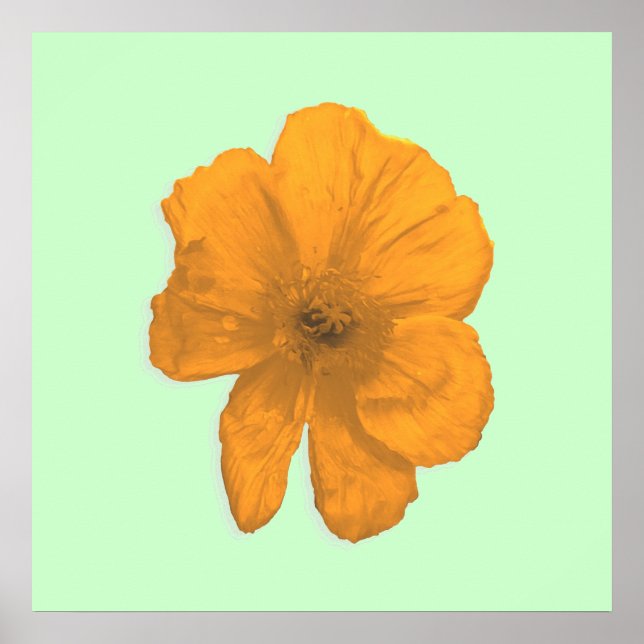 Poster Orange Aid/ PopArt Flower (Frente)