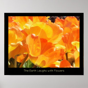 Poster Orange and Yellow Tulips Earth Laughs with Flower