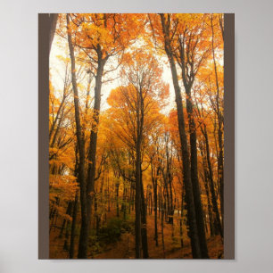 Poster Orange Autumn Forest