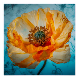 Póster Orange Beauty