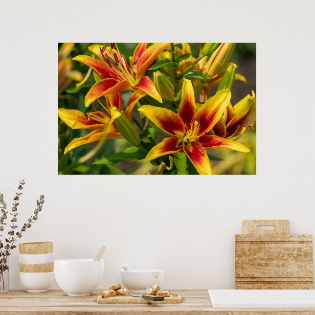Poster Orange Daylily Art, Fotografia Canadiana (Cozinha)