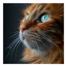 Orange Ginger Tabby Cat Vintage Style Portrait Wal