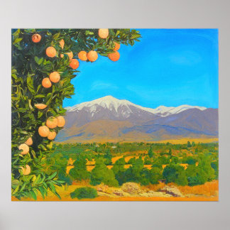 Poster Orange Groves Snow Capped Mount Baldy No início do