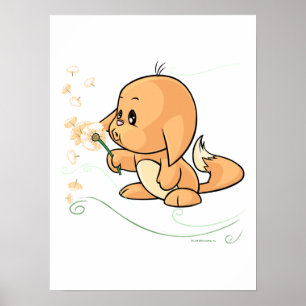 Poster Orange Kacheek wishing on a dandelion