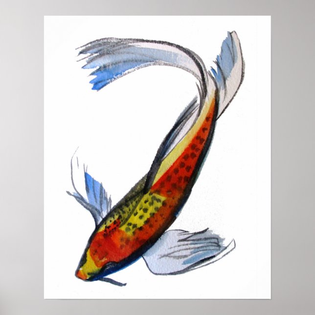 Poster Orange Koi - Peixe-Aranha-da-água Japonês (Frente)