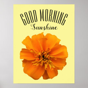 Poster Orange Marigold Good Morning Sunshine