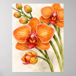 Poster Orange Phalaenopsis Orchid Botanical Watercolor