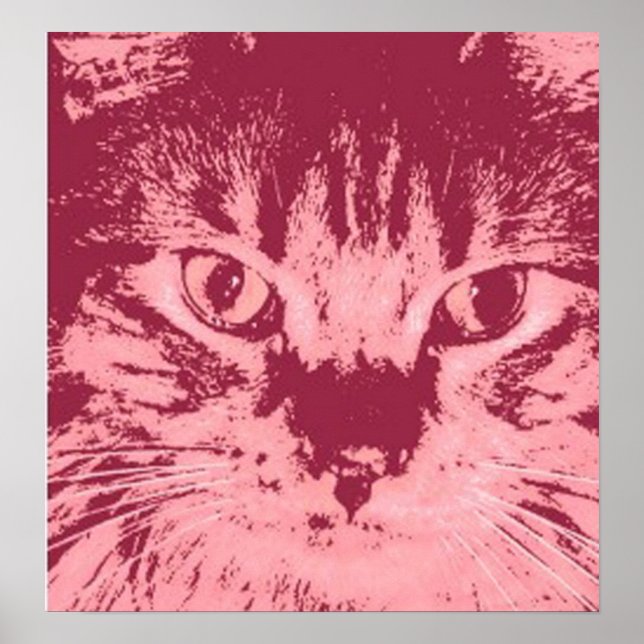 Póster Orange Tabby Cat (Frente)