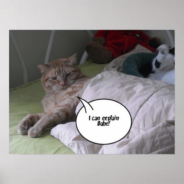 Poster Orange Tabby Cat Humor (Frente)