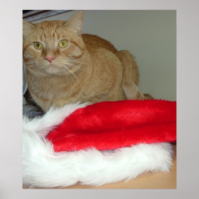 Poster Orange Tabby Christmas (Frente)