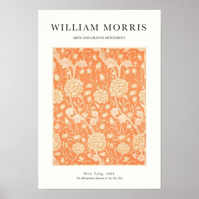 Poster Orange Tulip (Frente)