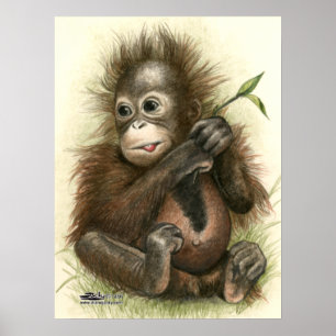 Póster Orangutan Baby Com Folhas