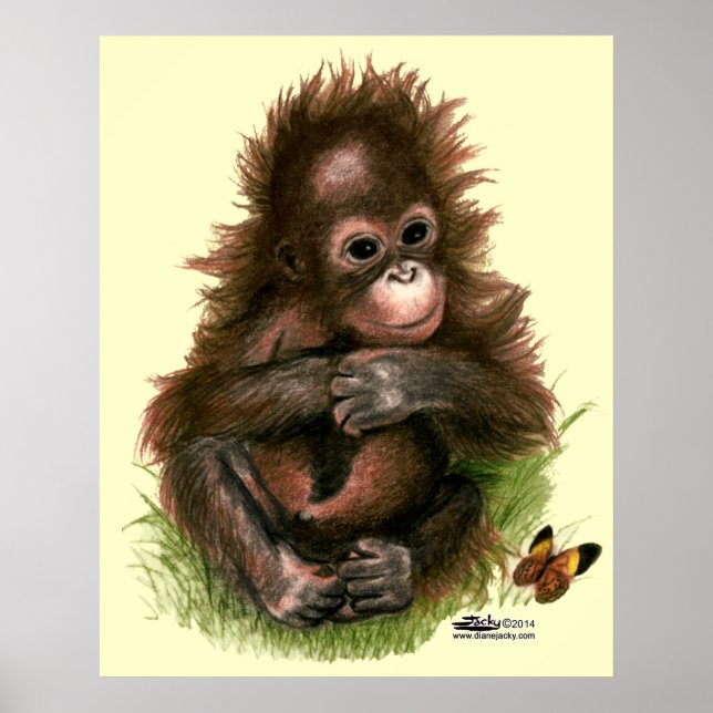 Póster Orangutan Baby e Butterfly (Frente)